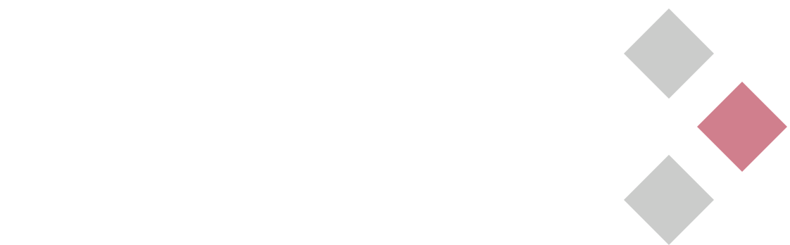 Stonitex logo